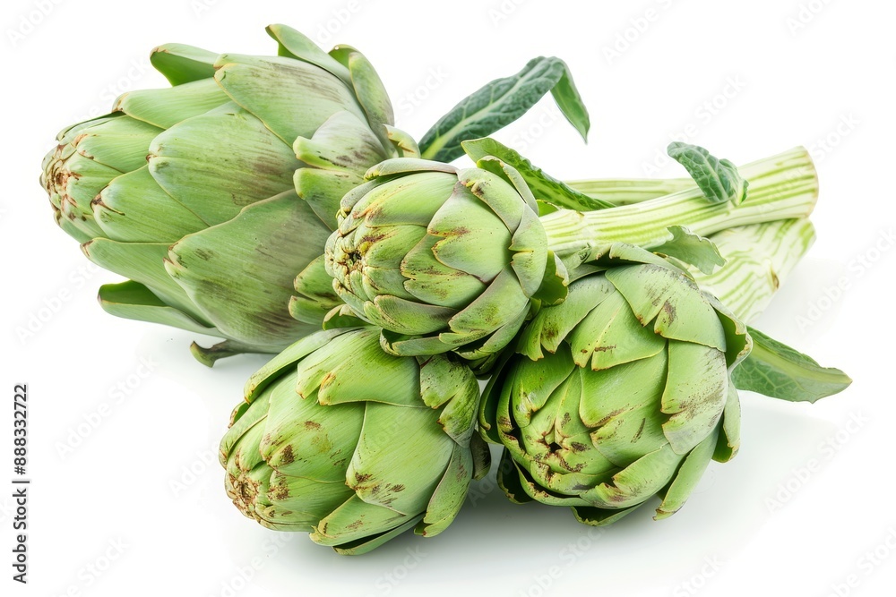 Fototapeta premium Green artichokes isolated on white background