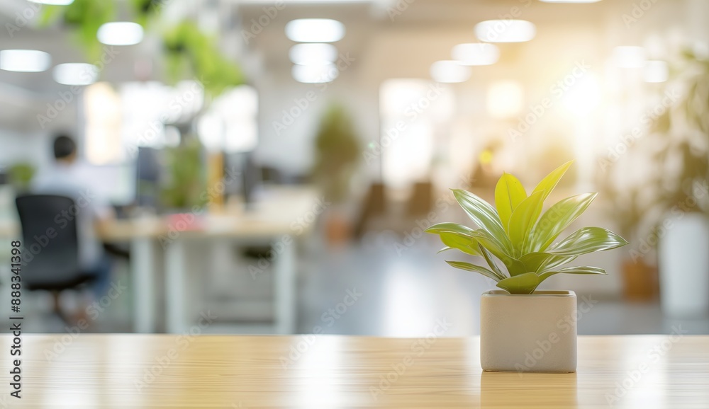 Desk with Plant in Bright Office Desk with Plant in Bright Office