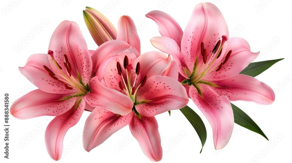 Pink Lily Flower Bouquet Pink Lily Flower Bouquet