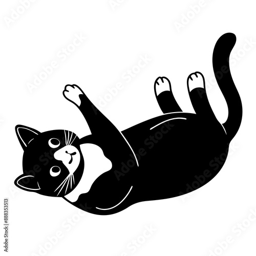 A cat lying upside down vector art illustration