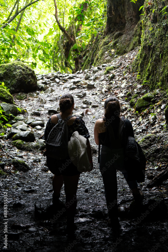 Two hikers walking along a rocky, lush forest path, illuminated by natural light filtering through the trees Two hikers walking along a rocky, lush forest path, illuminated by natural light filtering through the trees
