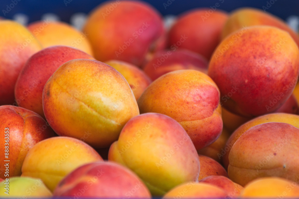 Ripe apricots close-up. Organic fruits. Ripe apricots close-up. Organic fruits.