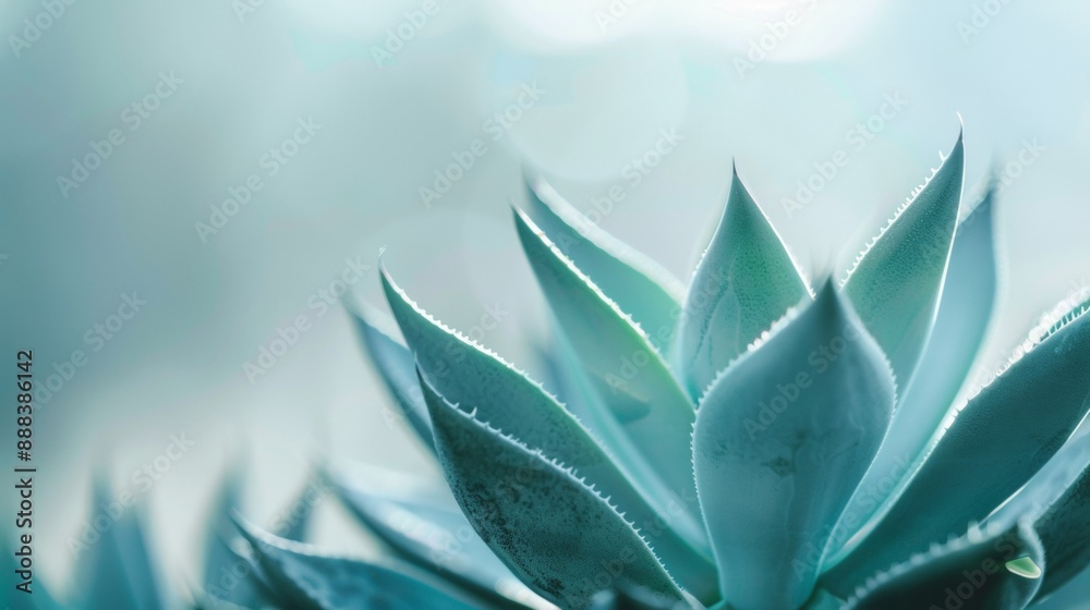 Obraz premium A close up of a blue flower with green leaves