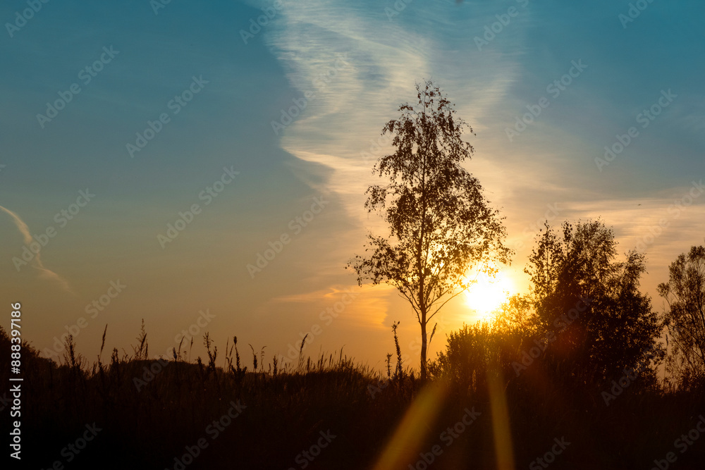 Golden sunset on the beach at neva river in saint-petersburg, russia. Tranquil scene. Nature background. Landscape. High quality photo