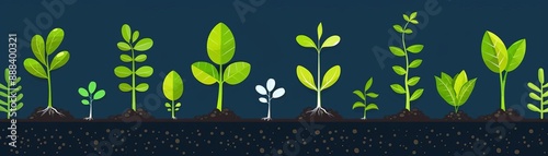 Illustration of various stages of plant growth from seedling to full plant, showcasing botanical development against a dark background.