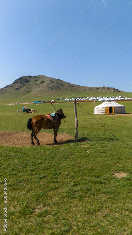 Fototapeta premium Mongolei Landschaft beeindruckend fantastisch Steppe mit Pferd und Jurte