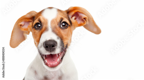 Adorable Puppy with Cute Ears. Happy and Playful Puppy Portrait