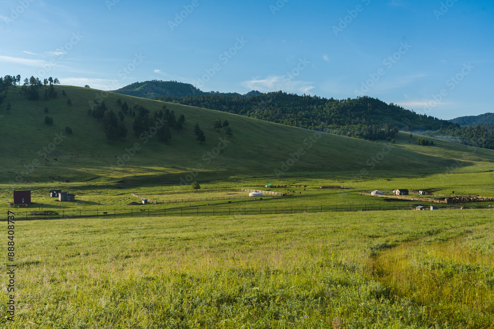 Fototapeta premium Mongolische Steppe im Sommer