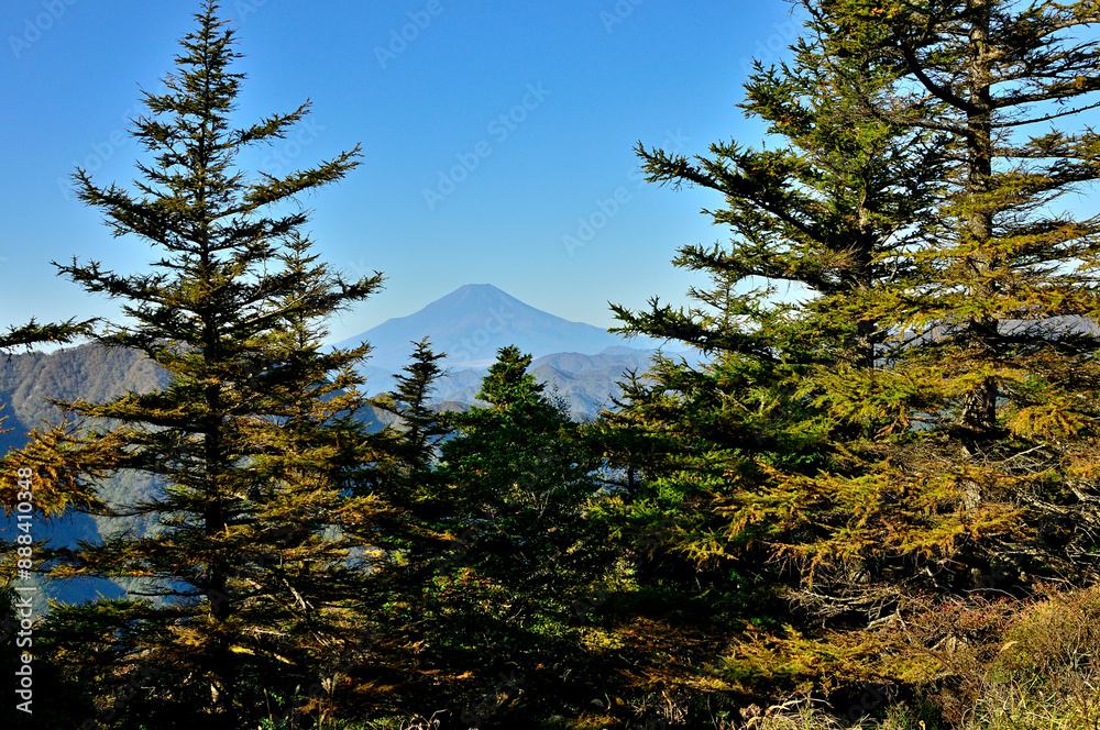丹沢 紅葉の姫次展望台より富士山を望む
丹沢 紅葉の姫次展望台より富士山を望む