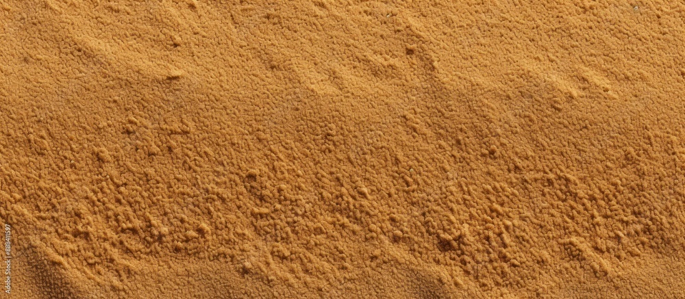 Close-Up of Sandy Terrain Close-Up of Sandy Terrain