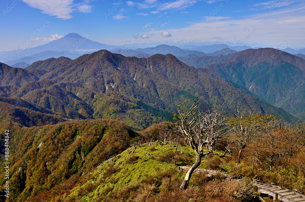 Fototapeta premium 秋の丹沢山地 紅葉の蛭ヶ岳山頂より西丹沢と富士山を望む 