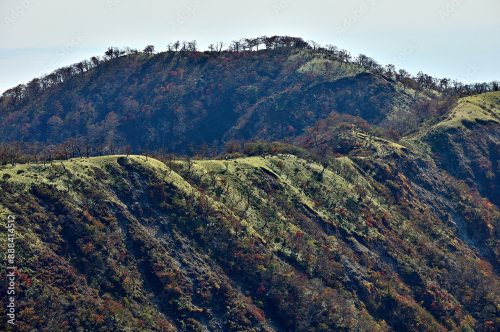 Naklejka premium 紅葉の丹沢 蛭ヶ岳山頂より不動ノ峰を望む 