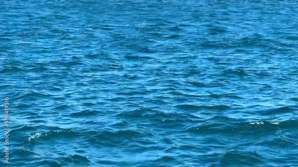 Sea With Small Waves, Long Shot. No People. Blue Deep Waters
Sea With Small Waves, Long Shot. No People. Blue Deep Waters