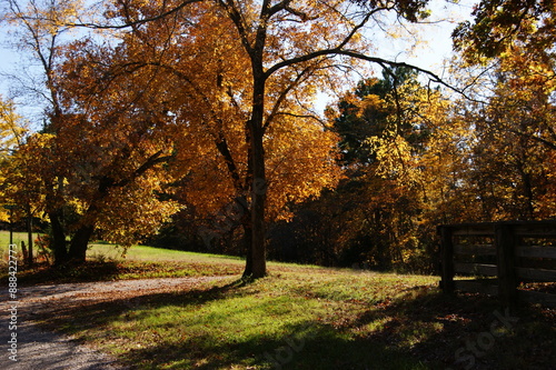 Autumn Path Hike Among the Colorful Leaves in Fall