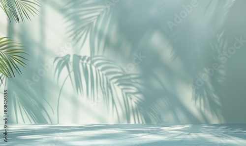 Abstract Palm Shadow Background