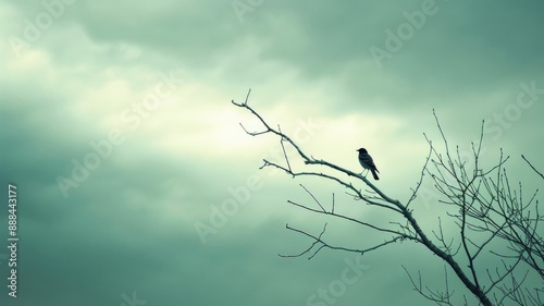 Bird perched on bare tree branch against cloudy sky