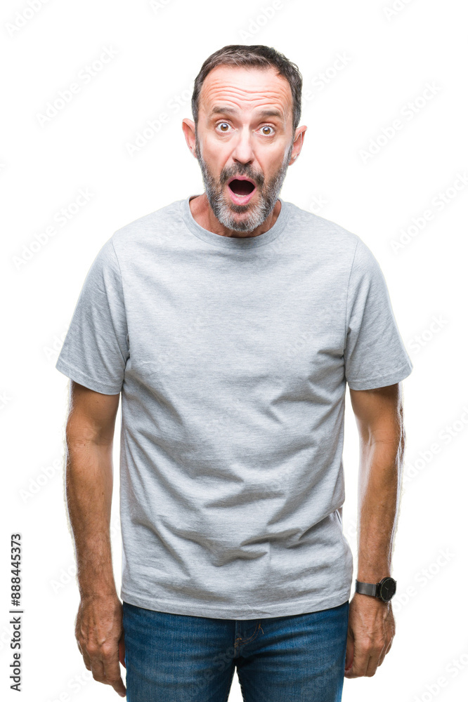 Middle age senior hoary man over isolated background afraid and shocked with surprise expression, fear and excited face. Middle age senior hoary man over isolated background afraid and shocked with surprise expression, fear and excited face.