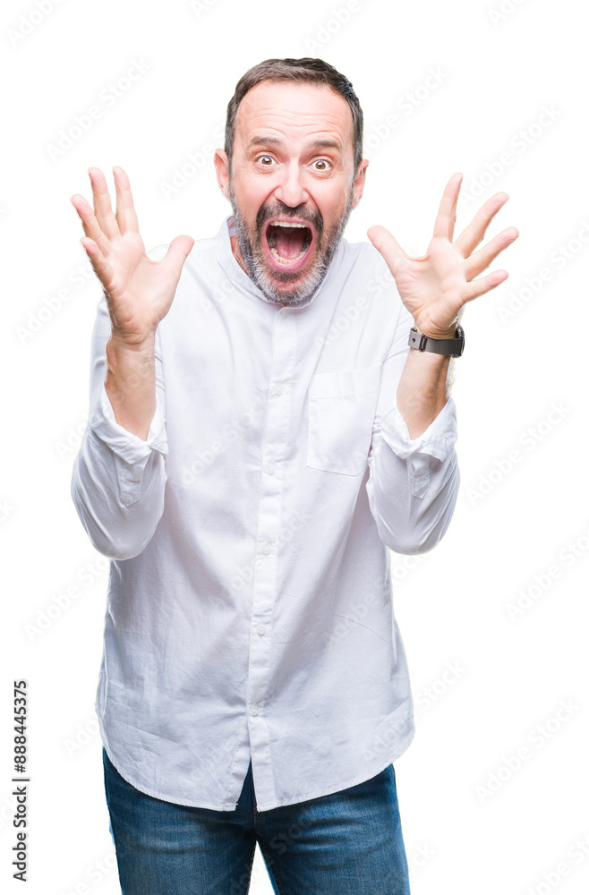 Middle age hoary senior man over isolated background celebrating crazy and amazed for success with arms raised and open eyes screaming excited. Winner concept