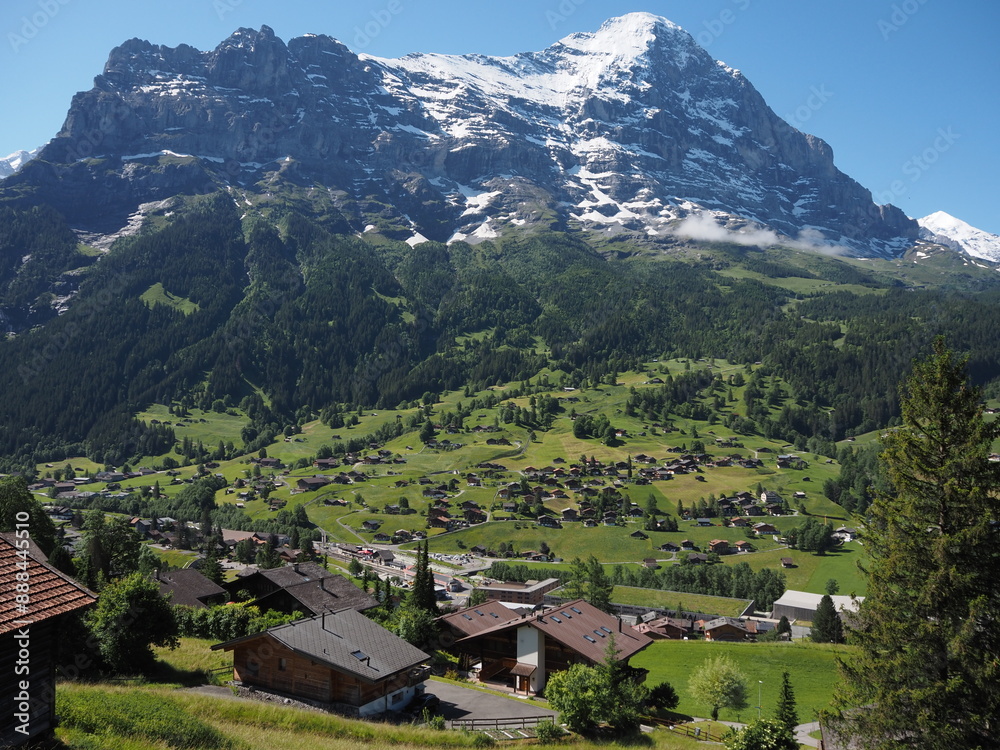 Fototapeta premium View of Grindelwald, Switzerland. Sunny morning in the Alpine mountains. Snowy mountain peaks and green meadows.