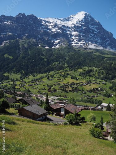 Wallpaper Mural View of Grindelwald, Switzerland. Sunny morning in the Alpine mountains. Snowy mountain peaks and green meadows. Torontodigital.ca