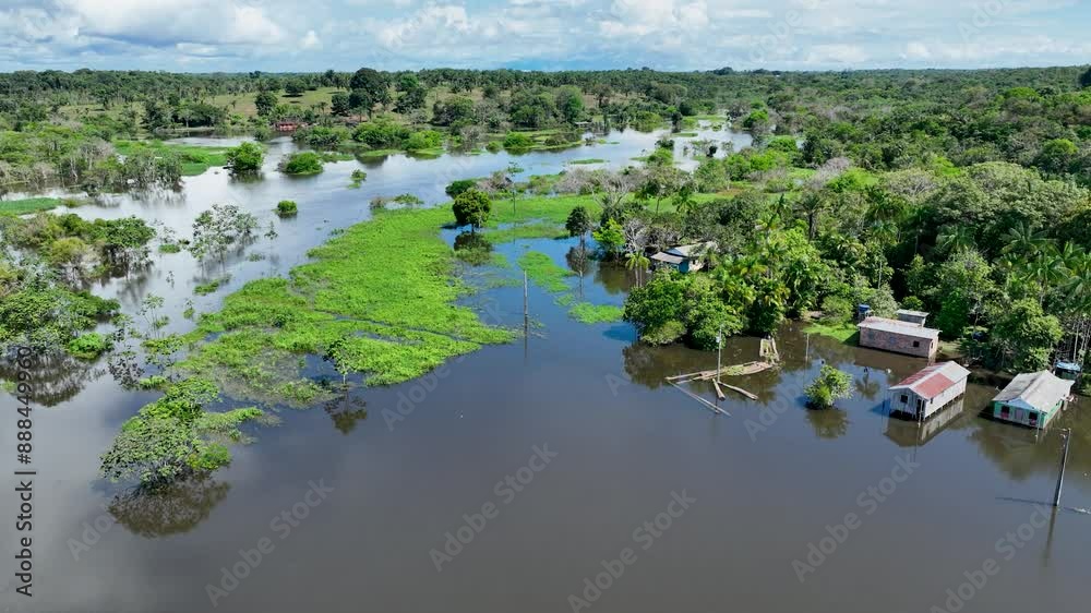 Amazon Rainforest At Manaus Amazonas Brazil. Stunning River Winds ...