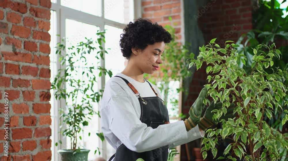 Running of own business. African woman florist wearing apron taking care of plants in botanical store. Happy small business owner working at flower shop smiling surrounded by plants Small business Running of own business. African woman florist wearing apron taking care of plants in botanical store. Happy small business owner working at flower shop smiling surrounded by plants Small business