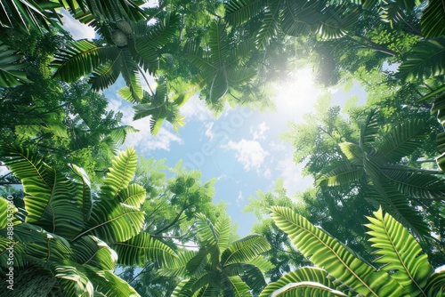 Looking Up Through a Lush Tropical Canopy