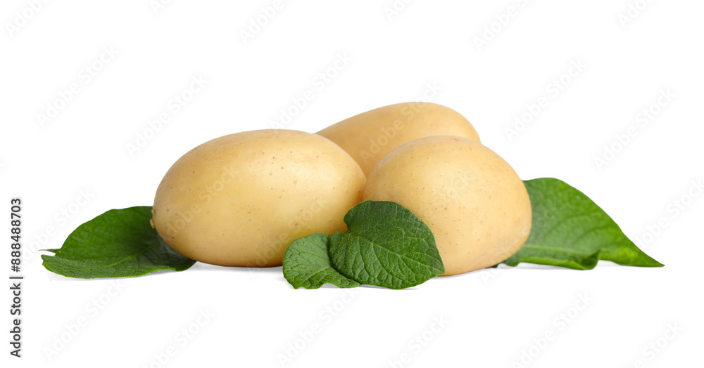 Fresh raw potatoes and green leaves isolated on white Fresh raw potatoes and green leaves isolated on white