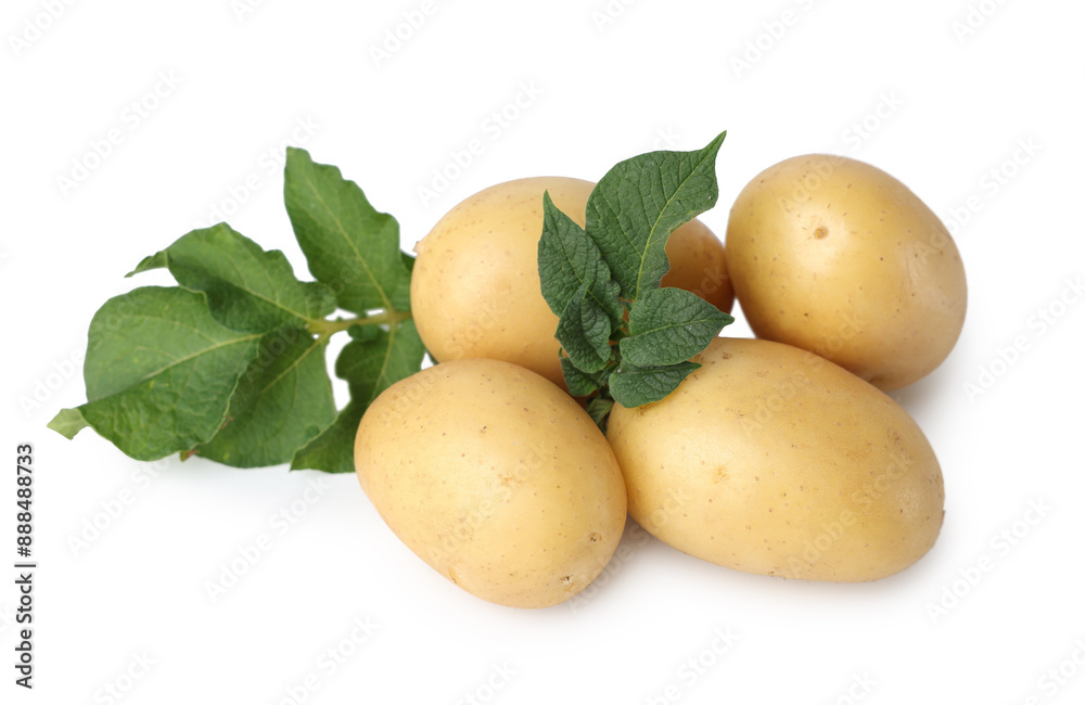 Fresh raw potatoes and green leaves isolated on white Fresh raw potatoes and green leaves isolated on white
