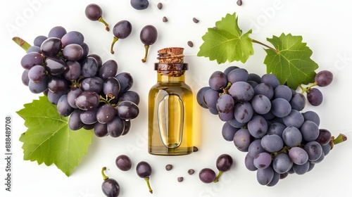 Top view and flat lay of grape seed oil isolated on a white background