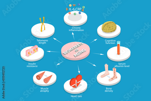 3D Isometric Flat Vector Illustration of Aging Process, Natural Changes in Physical and Mental Capacities