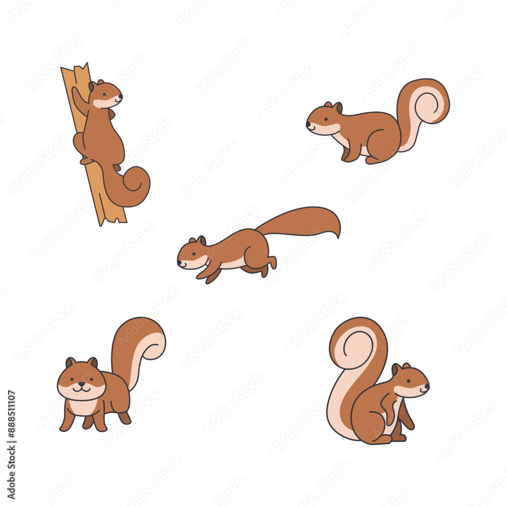 Fototapeta premium cute squirrel illustration