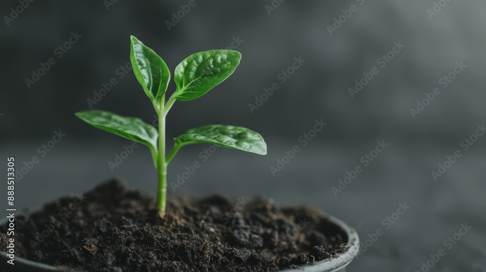 An ultramodern, supernatural scene, with copy space, showcases entrepreneurship, where visionary leaders turn innovative ideas into successful businesses An ultramodern, supernatural scene, with copy space, showcases entrepreneurship, where visionary leaders turn innovative ideas into successful businesses