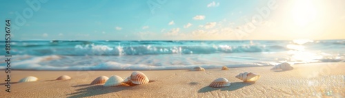 Seashells on a Sunny Beach Shore © admin_design