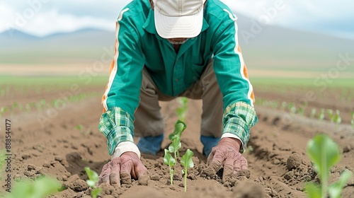 Professional scene of farmers utilizing regenerative agriculture techniques to restore soil fertility and ecosystem health in their farming practices. Height Resolution Photo, , Minimalism,