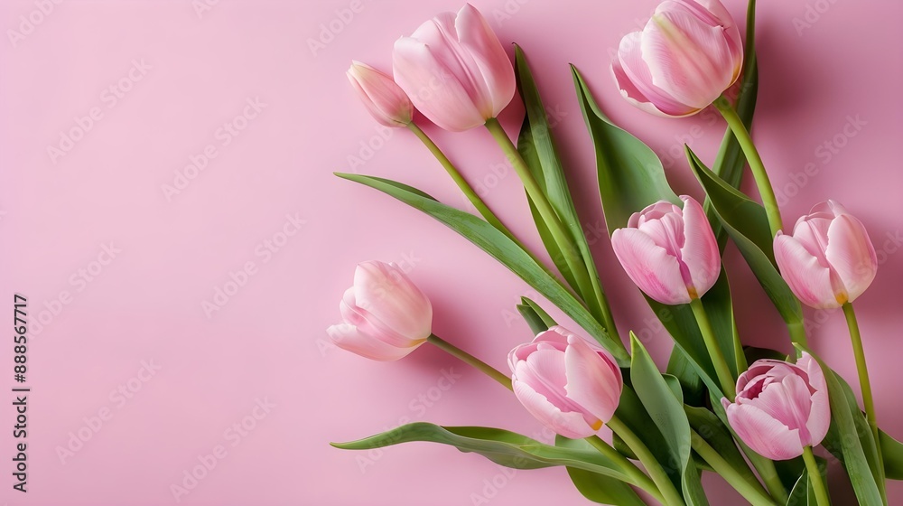Fototapeta premium Beautiful composition of spring flowers - Bouquet of pink