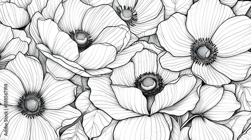 Intricate black and white floral designs