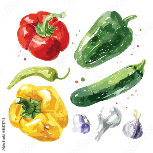 Hand painted Watercolor Illustration of Red, Yellow, Green Peppers, Zucchini and Garlic Isolated on White Background