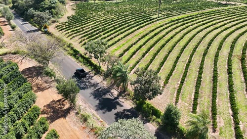 Rural Road At Jatai Goias Brazil. Stunning Landscape Of Highway Road Viewed From Above. Nature Sky Clouds Sky Forest. Nature Agro Rural Panoramic. Jatai Goias. photo