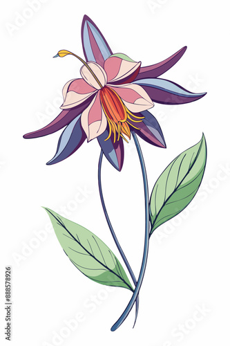 beautiful colorful illustration of columbine flower