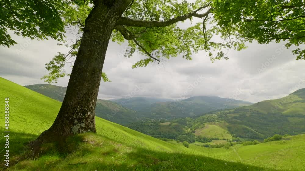 Lush landscape on the foothills of the Pyrenees mountains close to Lourdes. Shot on the Béout summit. Lush landscape on the foothills of the Pyrenees mountains close to Lourdes. Shot on the Béout summit.