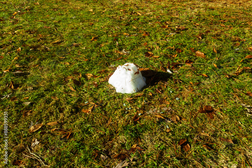 The remains of a snowman in green grass in Chapel Hill, North Carolina
