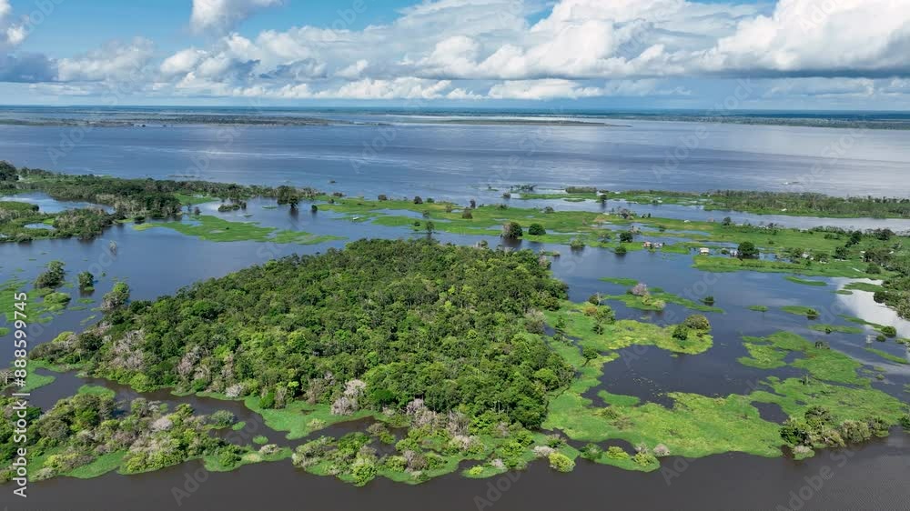 Amazonian Rainforest At Manaus Amazonas Brazil. River Flowing Through Lush Green Forest Landscape. Suriname River Rain Forest Coast. Suriname Jungle. Manaus Amazonas. Amazonian Rainforest At Manaus Amazonas Brazil. River Flowing Through Lush Green Forest Landscape. Suriname River Rain Forest Coast. Suriname Jungle. Manaus Amazonas.