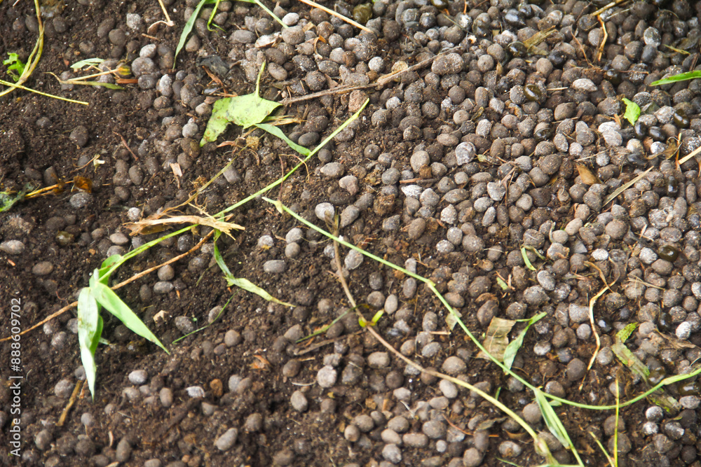 Goat Manure which can be used as organic fertilizer for plants Goat Manure which can be used as organic fertilizer for plants