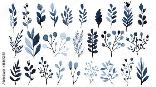 Hand-drawn vector winter floral elements photo