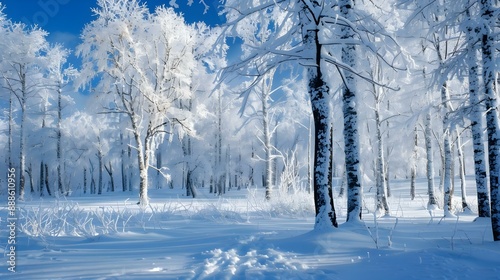 Wallpaper Mural Blue and white winter wonderland Torontodigital.ca