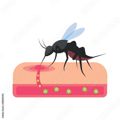 inflamed dengue mosquito bite