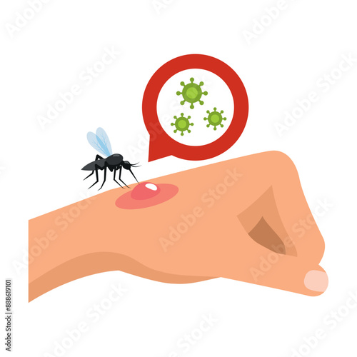 aedes aegypti mosquito bite in the skin