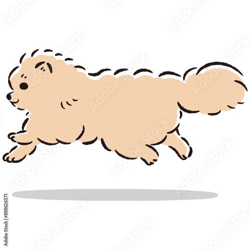 走るポメラニアンのかわいい手描きイラスト