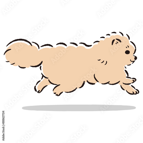 走るポメラニアンのかわいい手描きイラスト